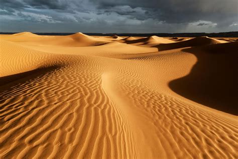 saharasdessert|Sahara — Wikipédia